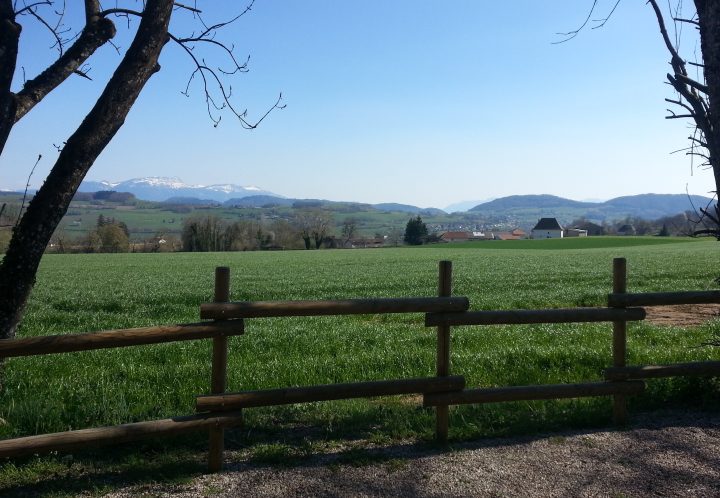 Cabane de chasse "La Diane"