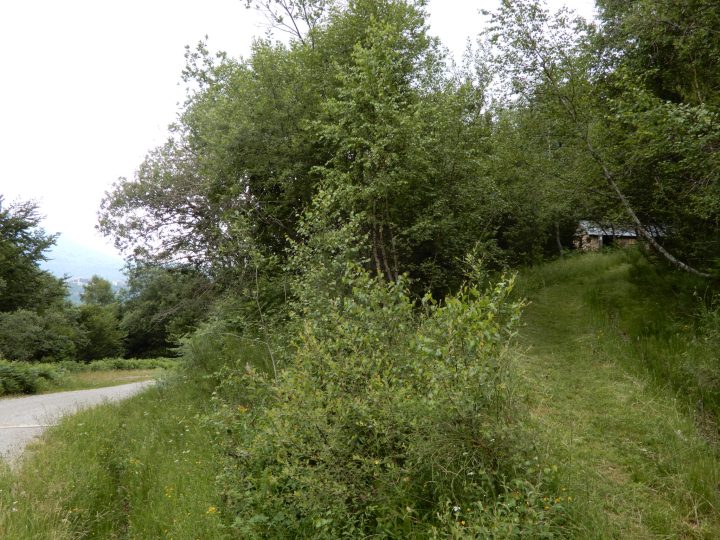 Borde de Gabriel