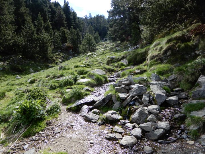 Yourte du col d'Avall