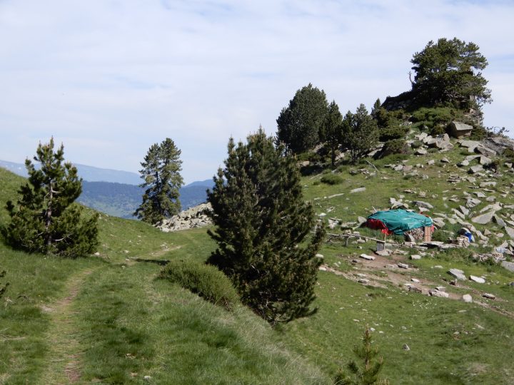 Yourte du col d'Avall