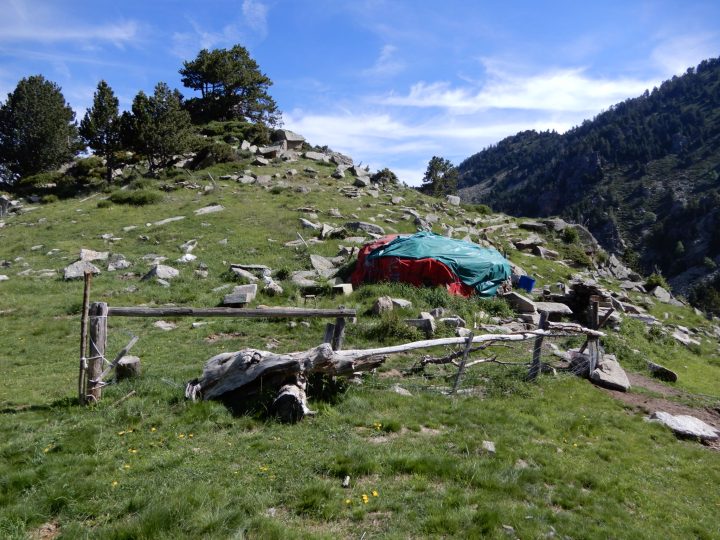 Yourte du col d'Avall