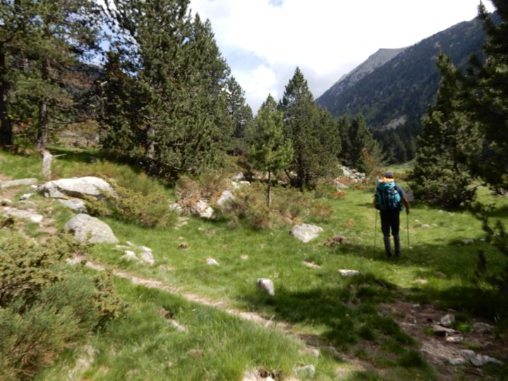 Cabane de Bassibès