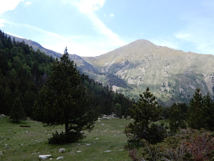Cabane de Bassibès