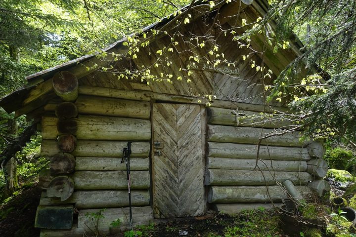La fourmillère