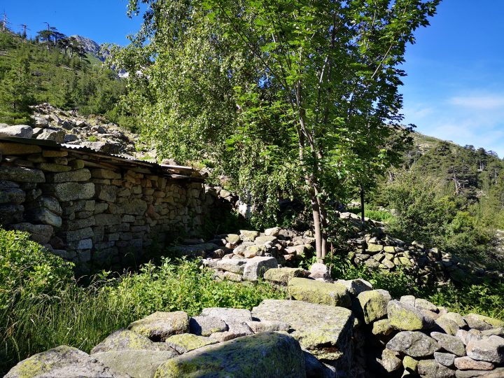 Bergeries de Chieni