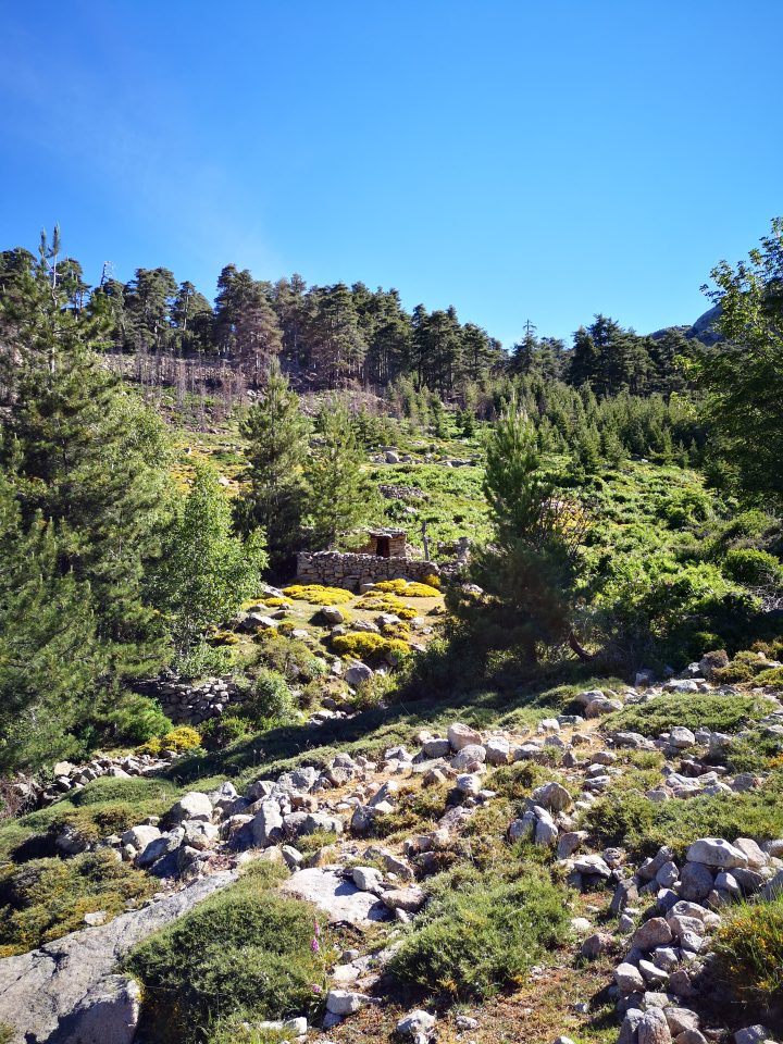 Bergeries de Chieni