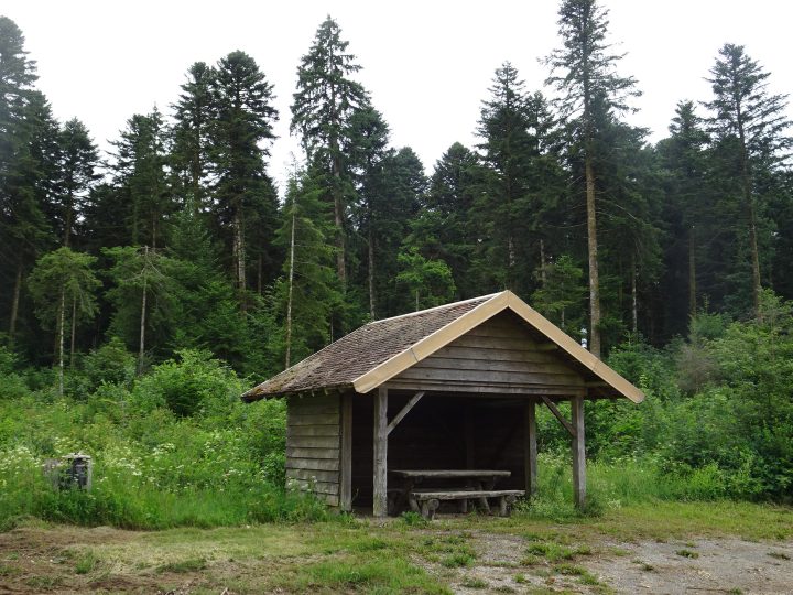 Abri de la forêt d'Arc Nord