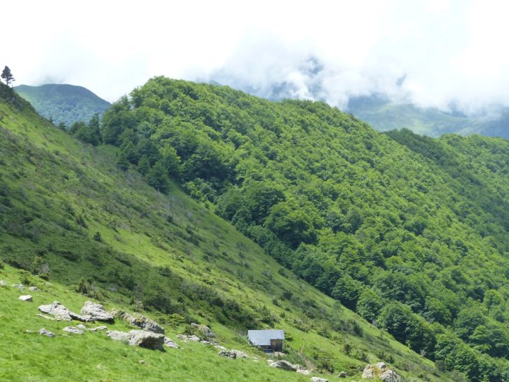 Cabane de Couledoux