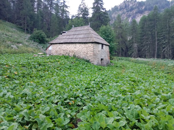 Cabane de Plan-Bas