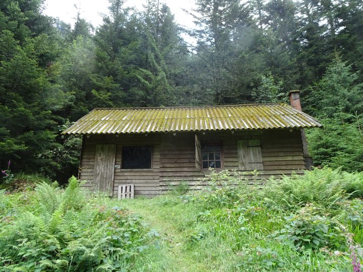 Cabane de l'Etang