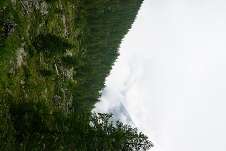 Alpe Pian Pesse