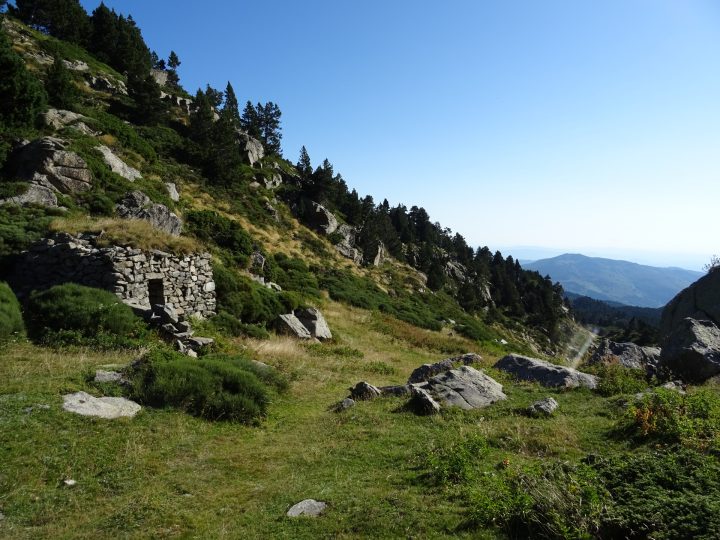 Orri de la Balmeta (Balmette)