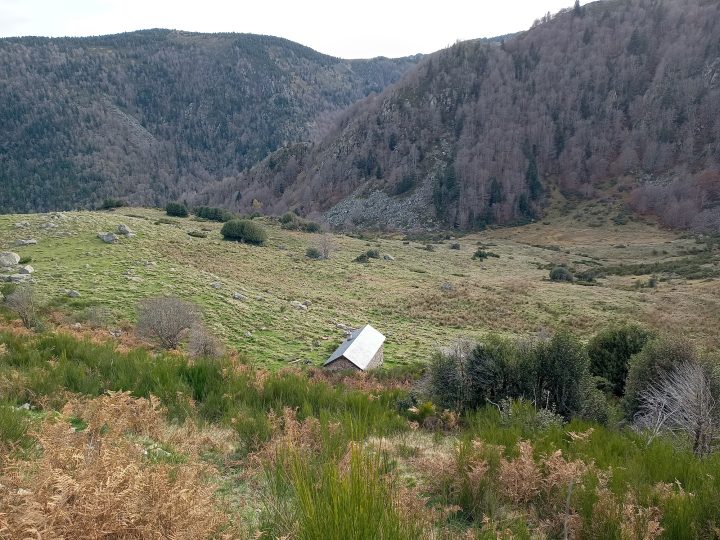 Cabane de Balledreyt