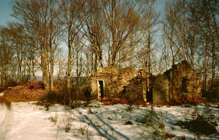 Cabane du Sol del Bosc