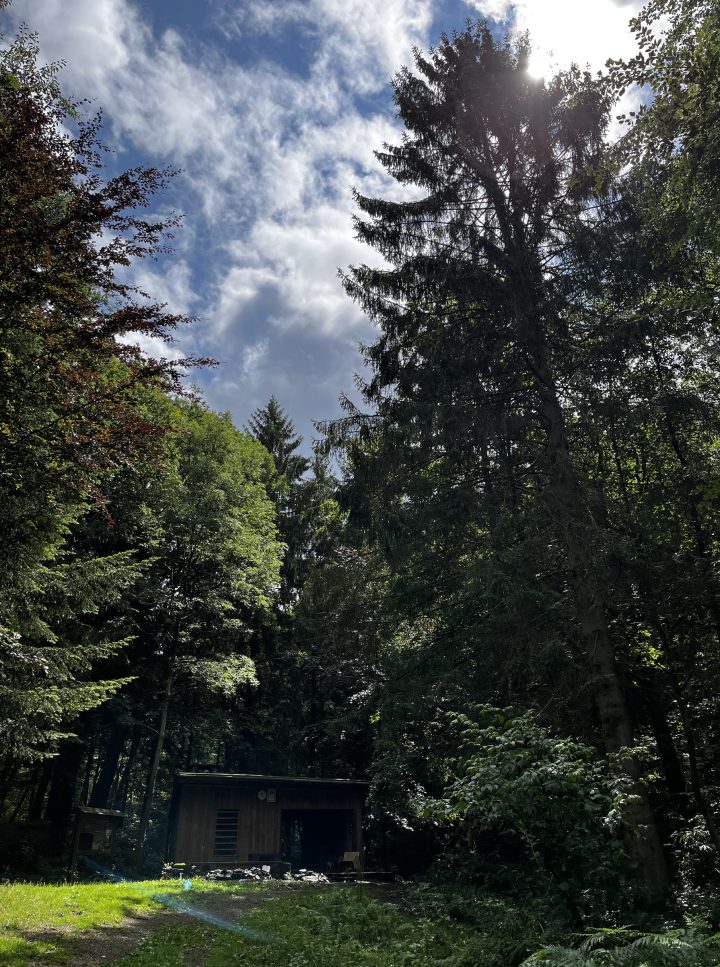 Cabane de l'Orpailleur