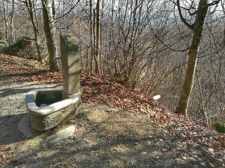 Waldhütte Allerheiligenberg