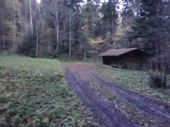 Cabane forestière les Vieux Ponts