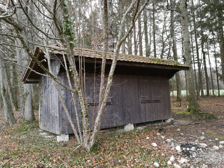 Cabane forestière Piamont