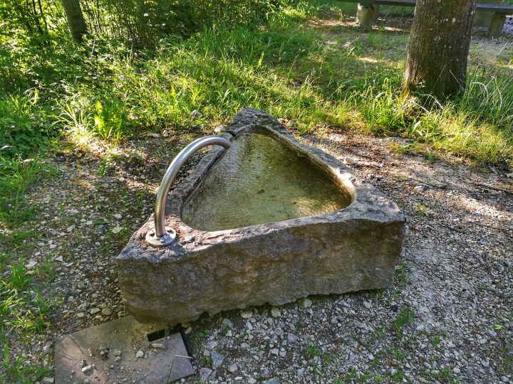 Waldhütte Eggfels