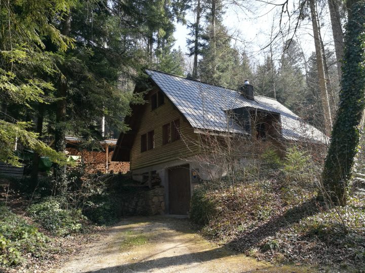 Waldhütte Ormalingen