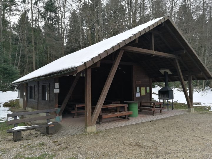 Cabane forestière de Fontenais