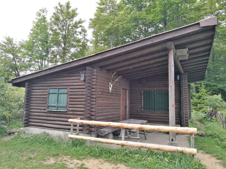 Waldhütte Hohwacht