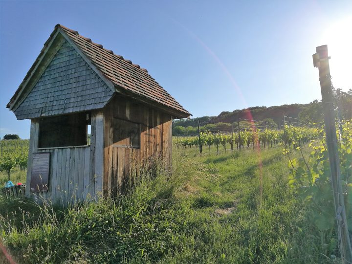 Unterstand bei Haltingen