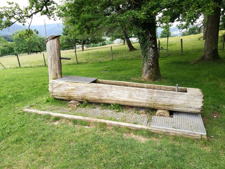 Cabane des Chênes