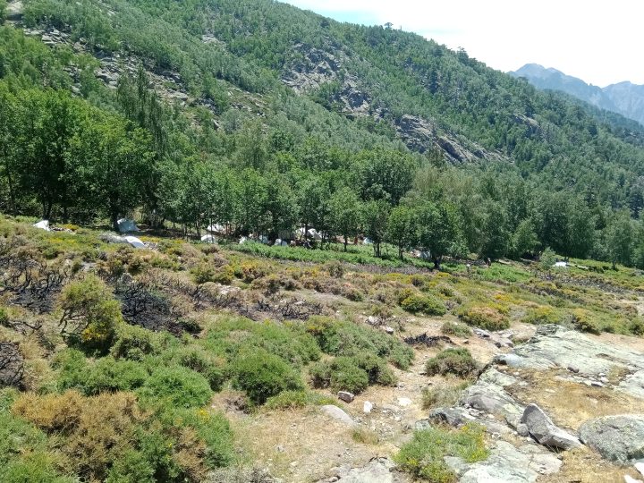 Refuge de l'Ortu di u Piobbu