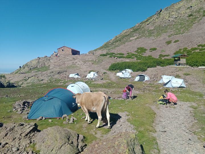 Refuge de Ciottulu di i Mori