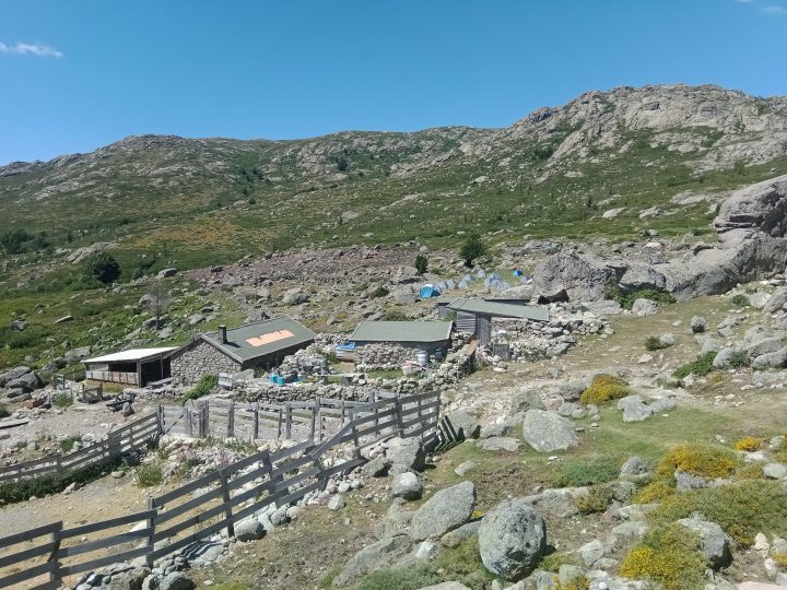 Bergerie de Vaccaghia