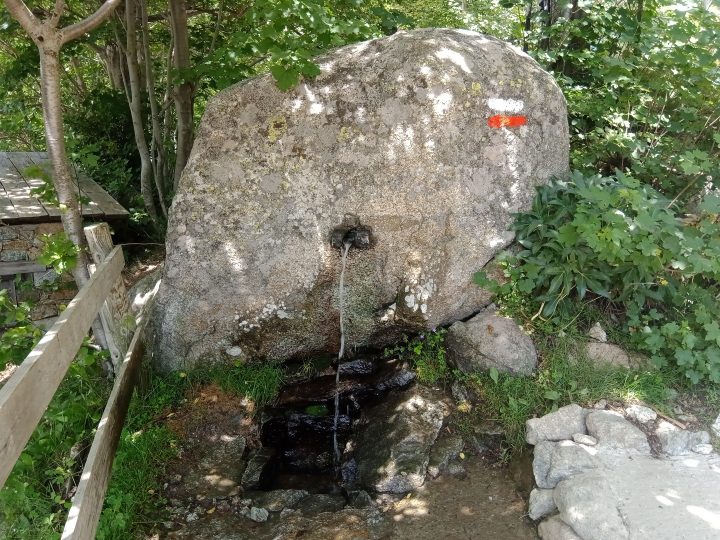 Gîte U Fugone
