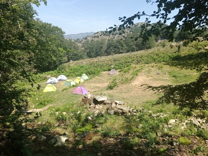 Bergeries de Basseta