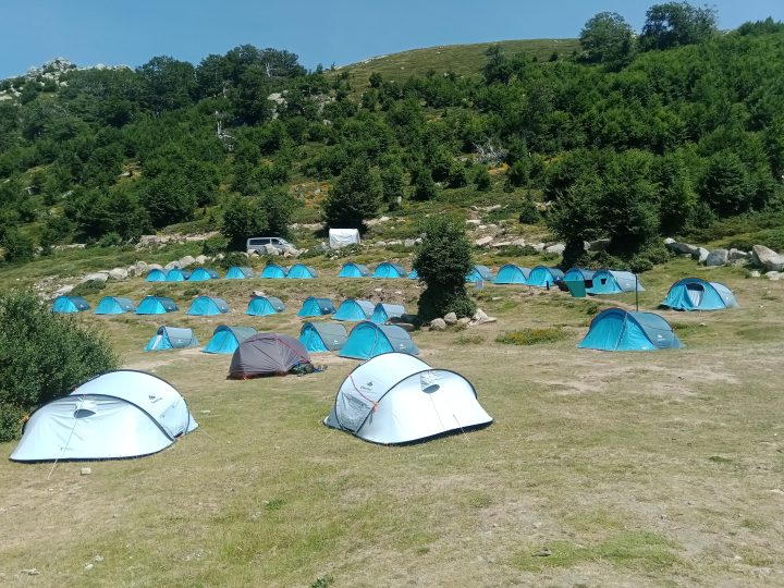 Bergerie de Croci