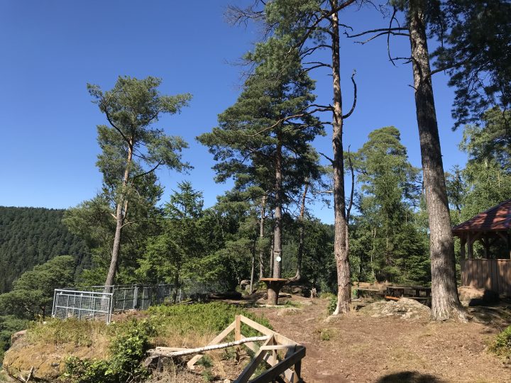 Abri du Rocher du Petit Moulin