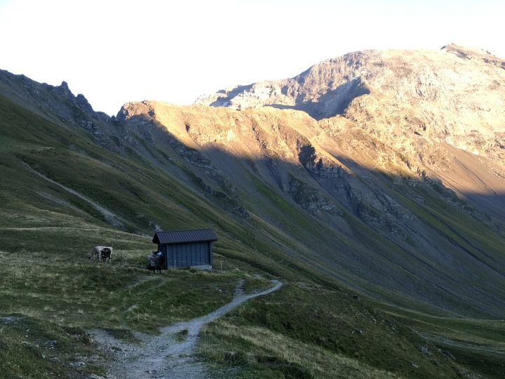 Schutzhütte Surenen Eggen