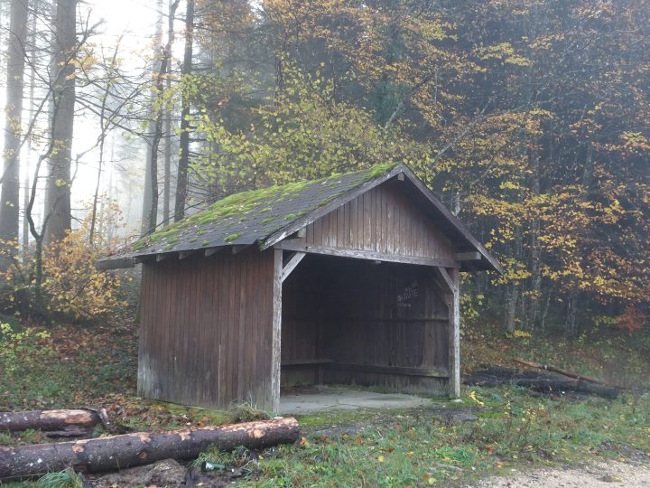 Abri vers la vierge du bois de Cudrette