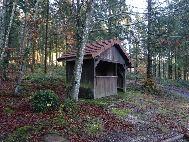 Chalet Cotton