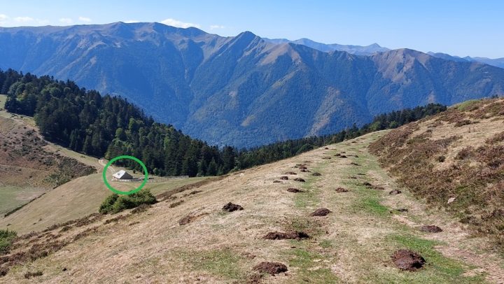 Cabane Salode