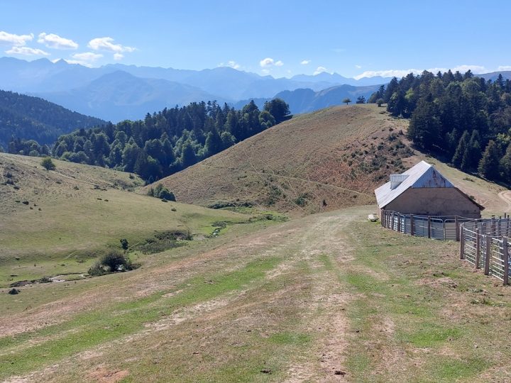 Cabane Salode