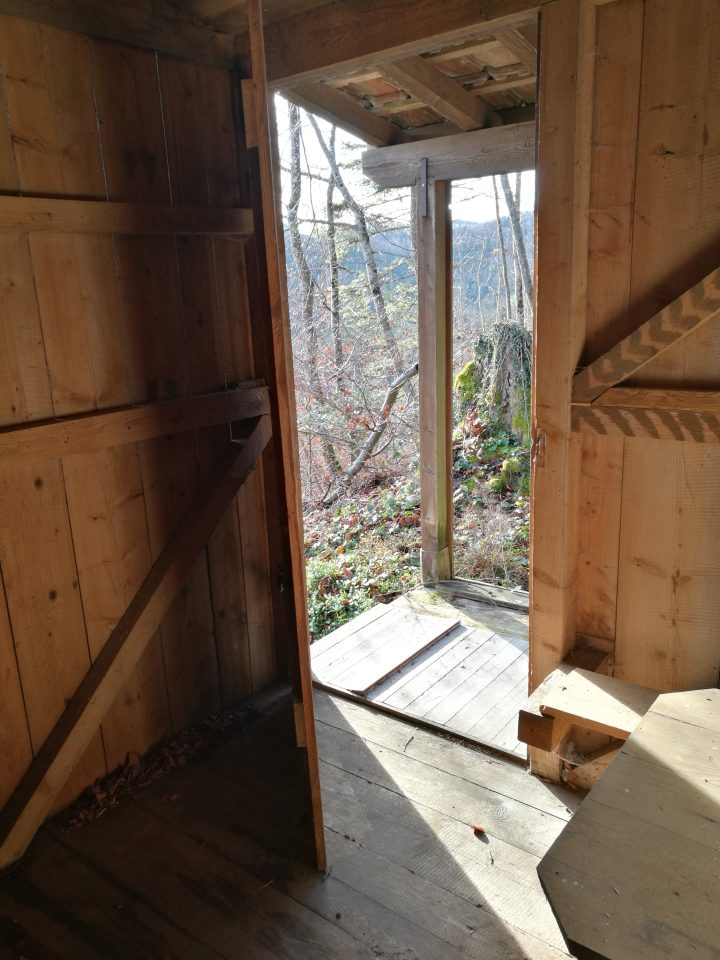 Cabane forestière Mont Lucelle