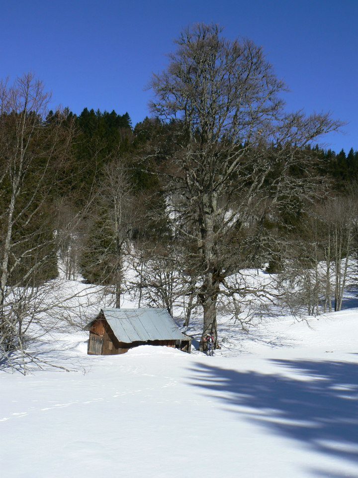 Cabane de Girieux