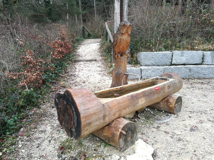 Waldhötte Föhrebänggli