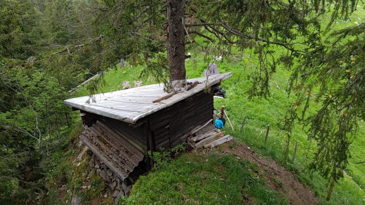 Le paradis?