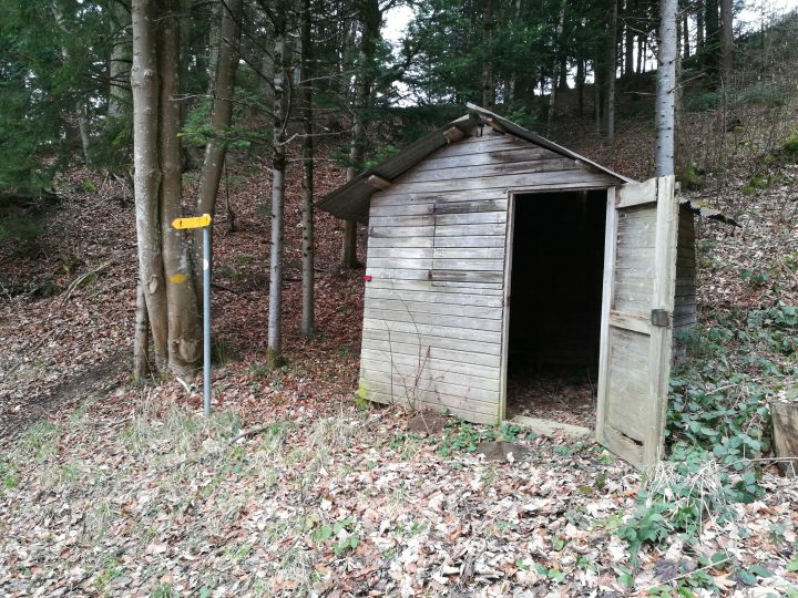 Waldhütte Belchenhölzli