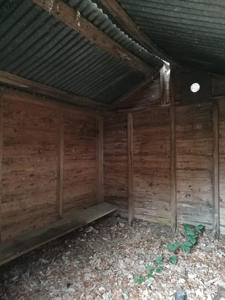 Waldhütte Belchenhölzli