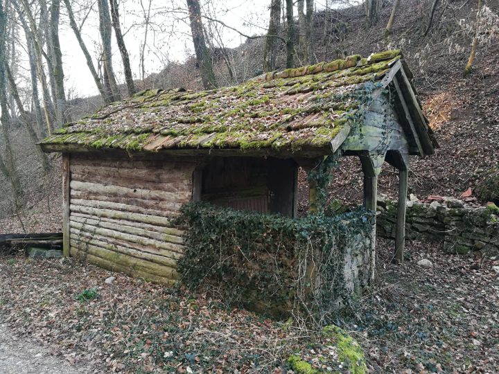 Waldhütte Fore