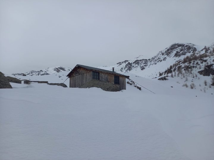 Cabane de sanguiniere