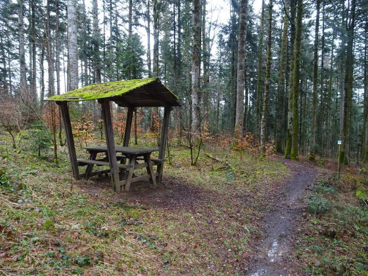Abri du chemin des pins