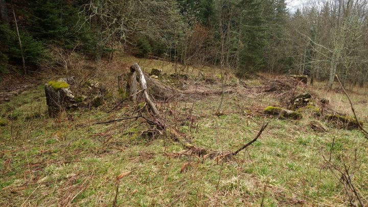 Cabane du Plat